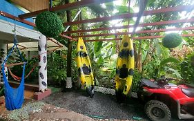 Wildlife Art Tortuguero