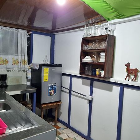 Hôtel Wildlife Art Tortuguero Extérieur photo