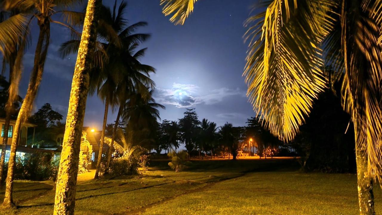Hôtel Wildlife Art Tortuguero Extérieur photo