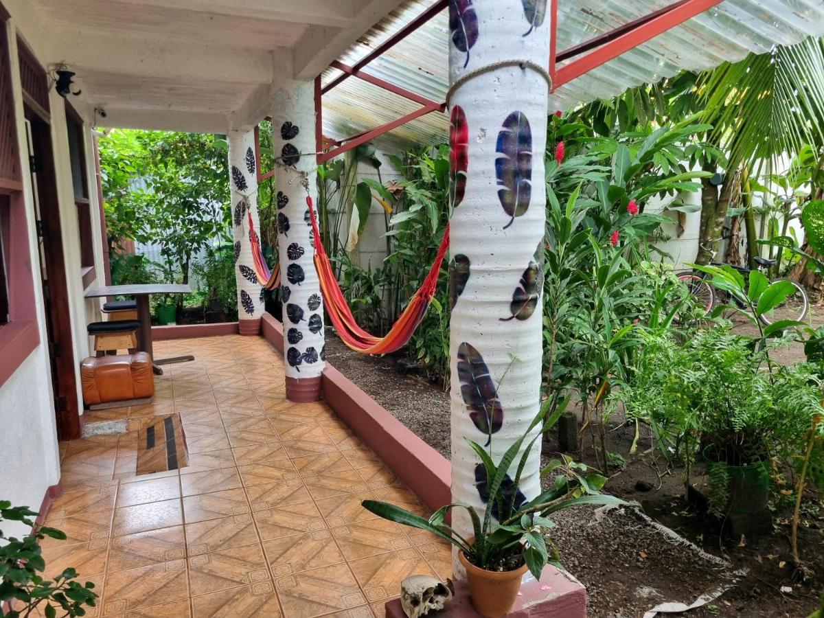 Hôtel Wildlife Art Tortuguero Extérieur photo