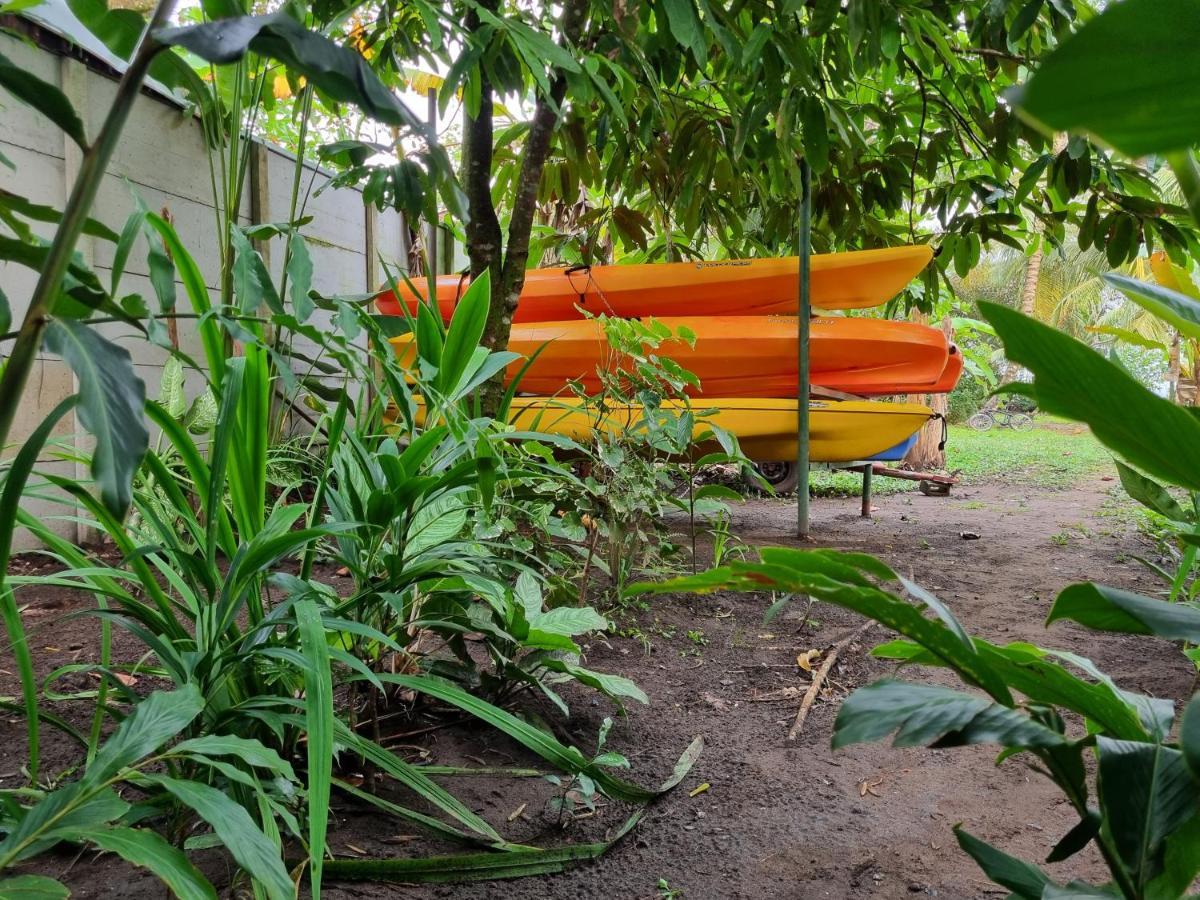 Hôtel Wildlife Art Tortuguero Extérieur photo