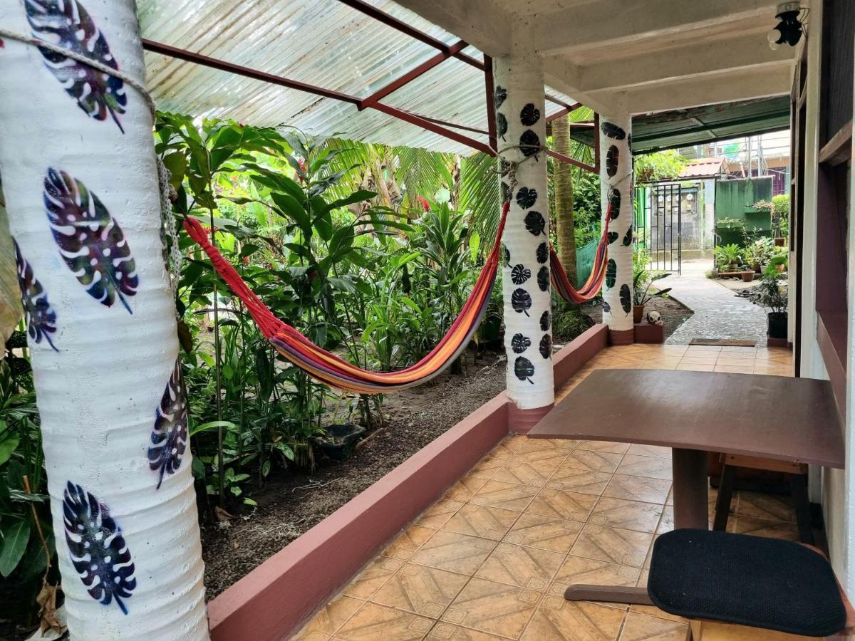 Hôtel Wildlife Art Tortuguero Extérieur photo
