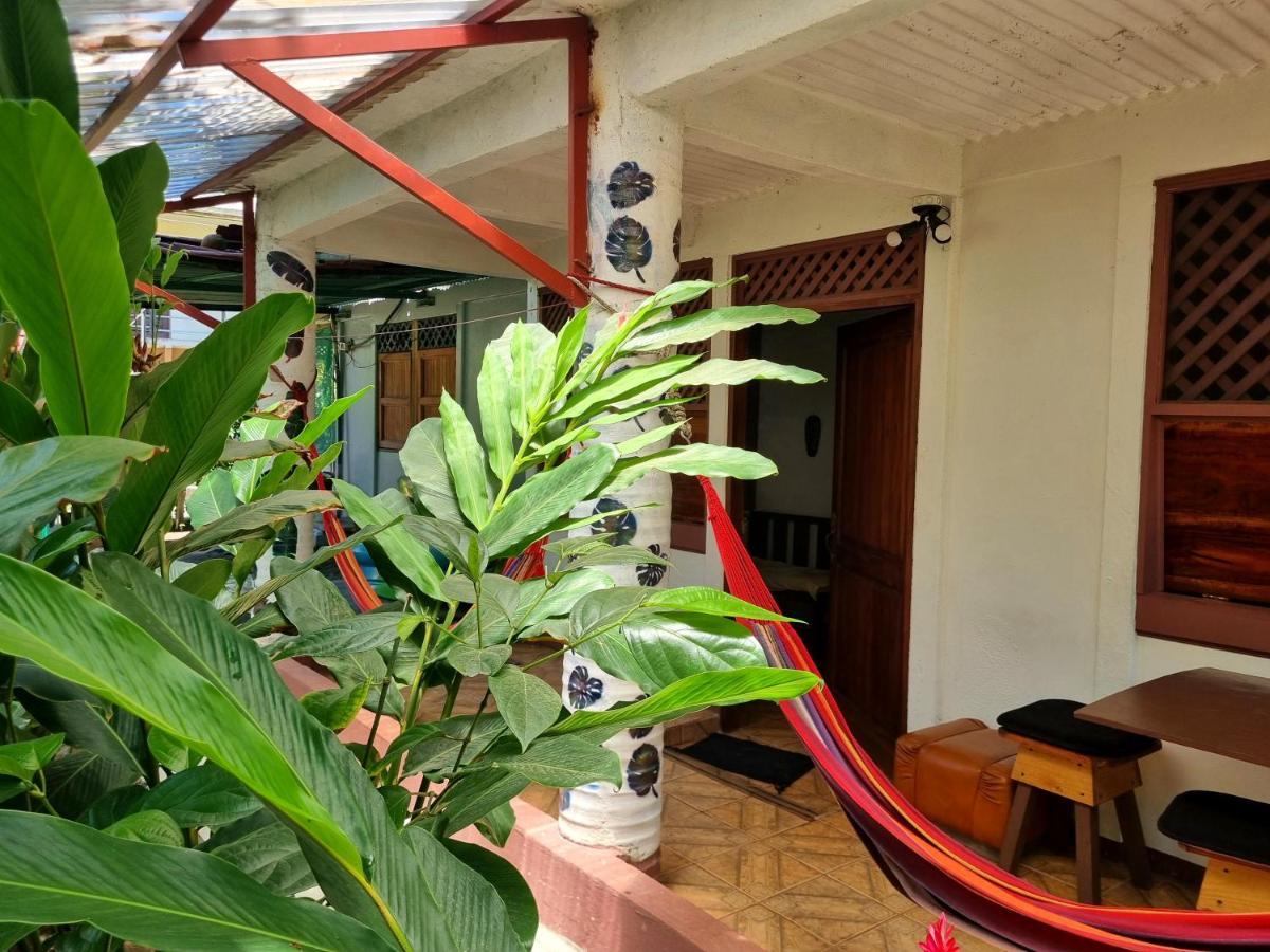 Hôtel Wildlife Art Tortuguero Extérieur photo