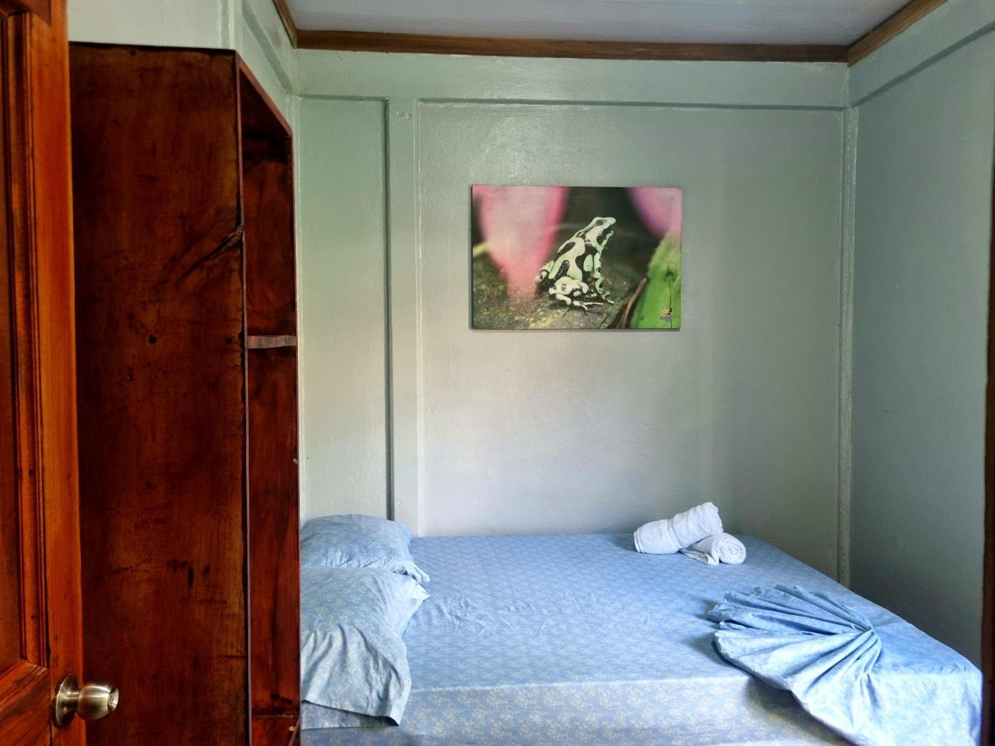 Hôtel Wildlife Art Tortuguero Extérieur photo