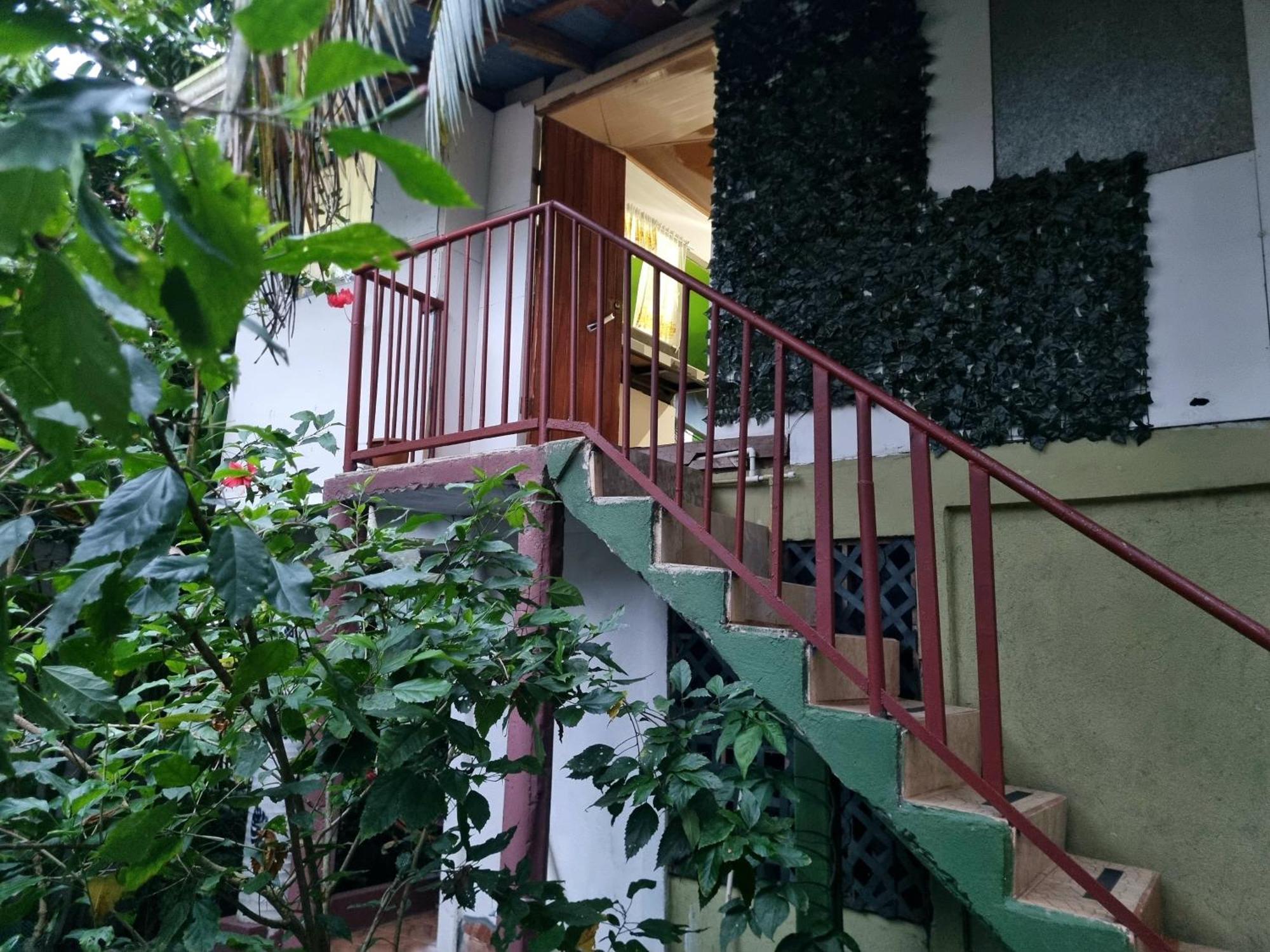 Hôtel Wildlife Art Tortuguero Extérieur photo