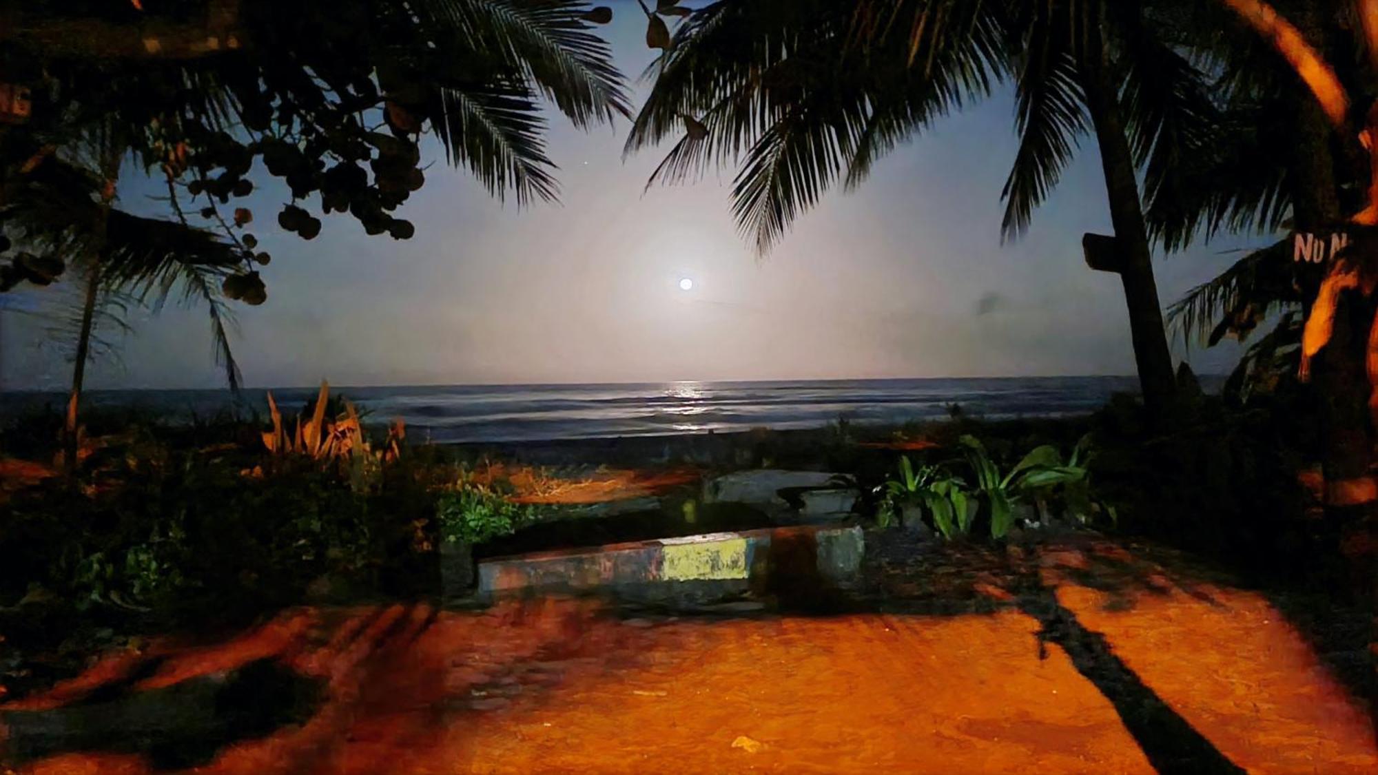 Hôtel Wildlife Art Tortuguero Extérieur photo