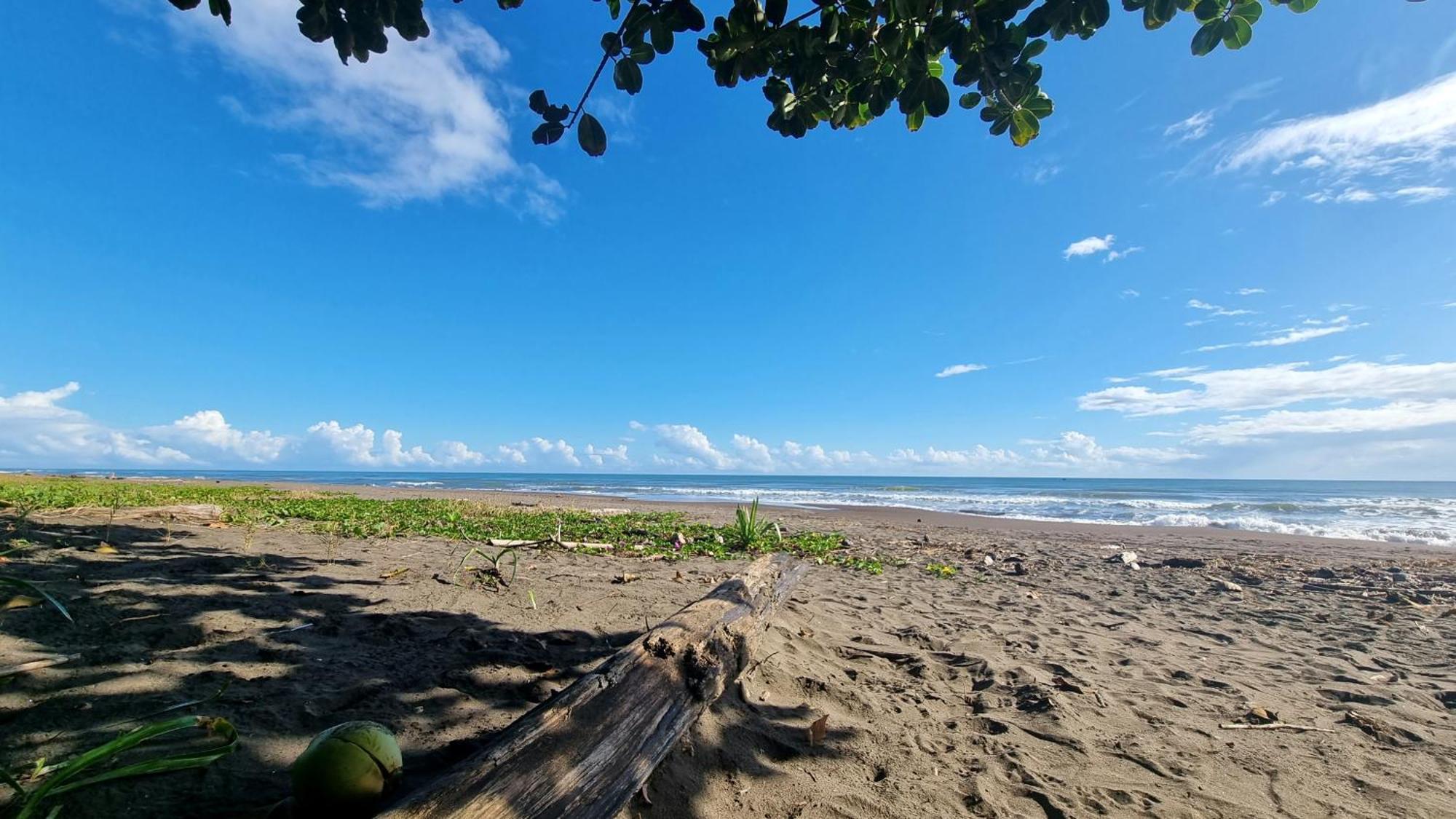 Hôtel Wildlife Art Tortuguero Extérieur photo