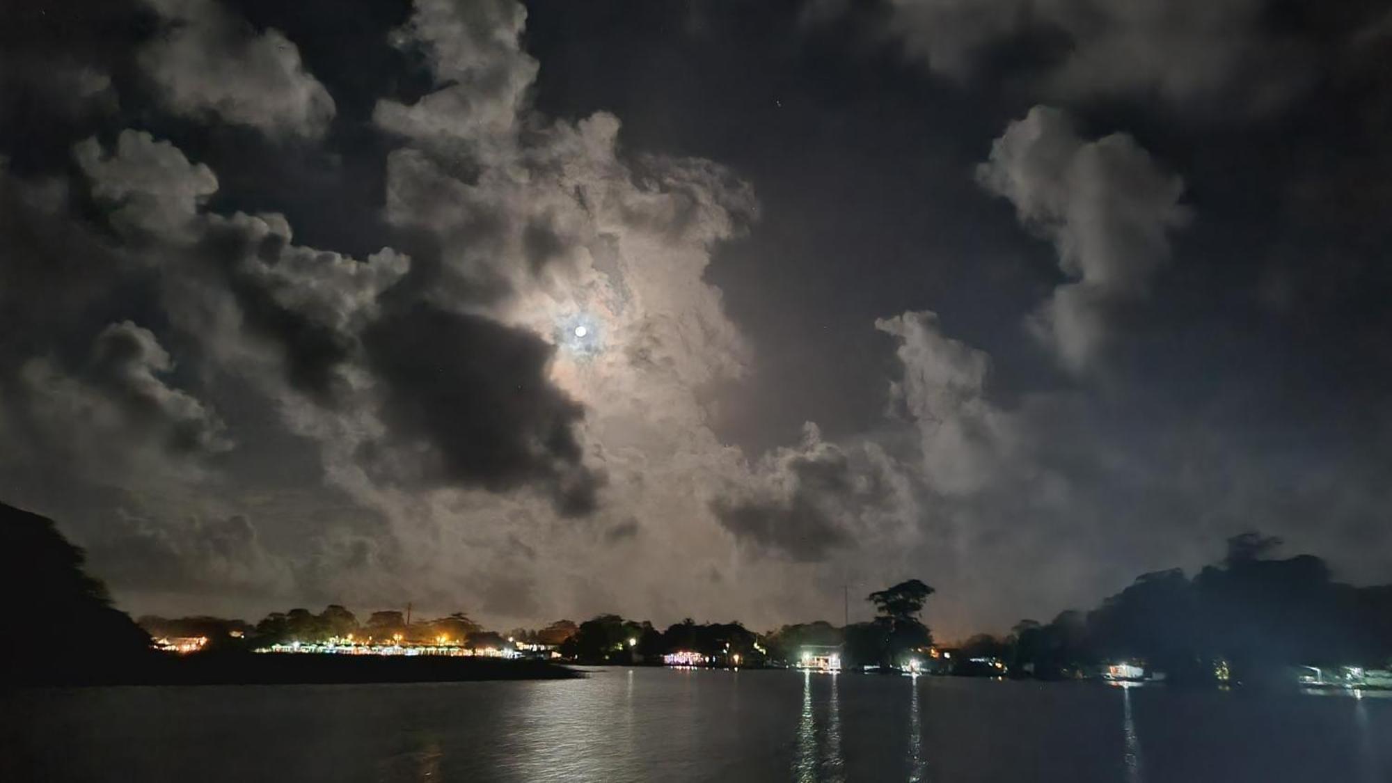 Hôtel Wildlife Art Tortuguero Extérieur photo