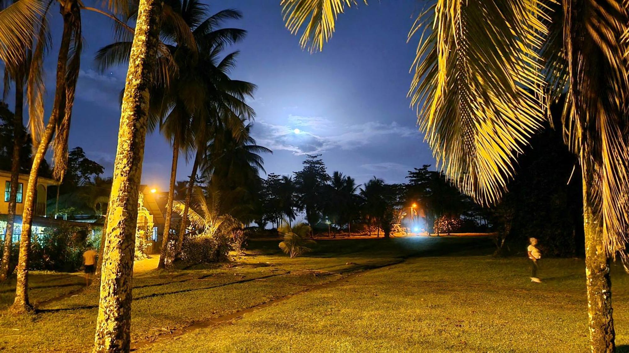 Hôtel Wildlife Art Tortuguero Extérieur photo