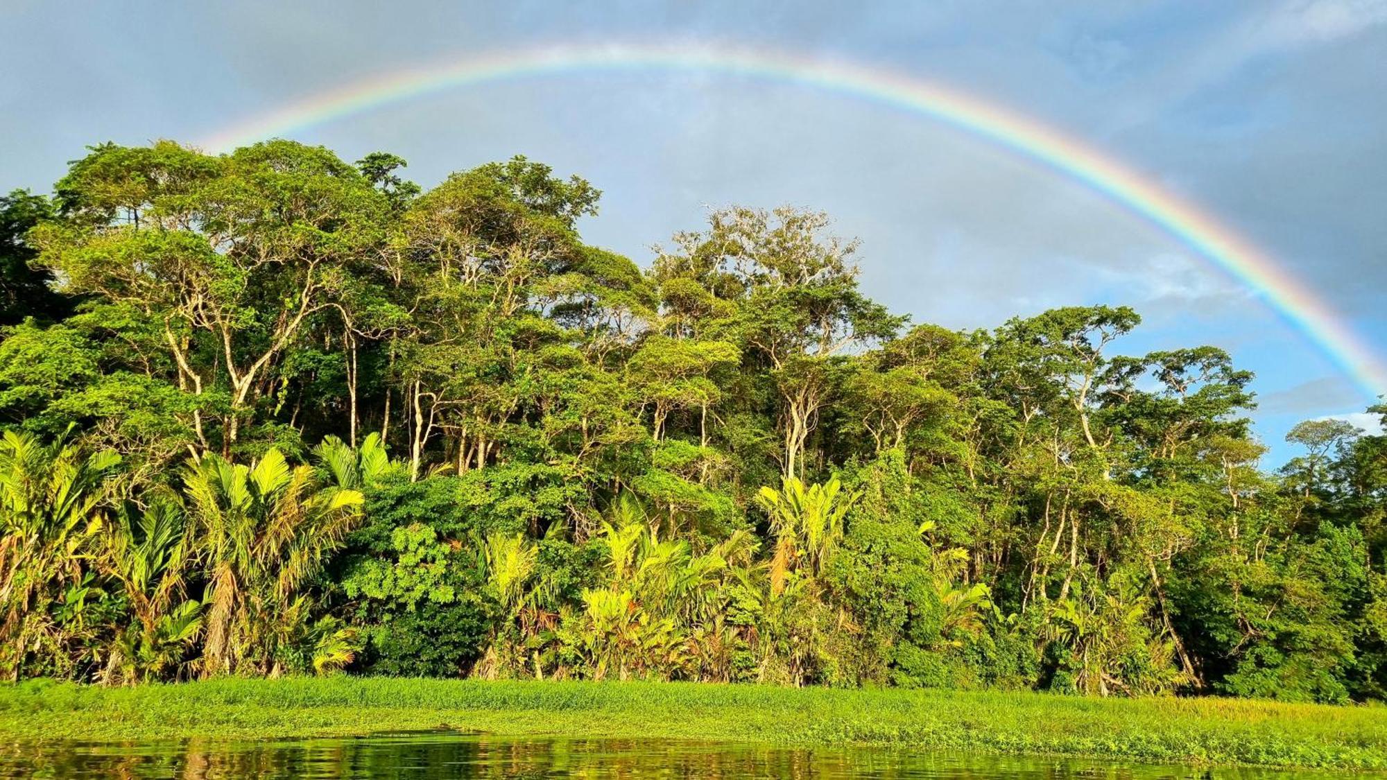 Hôtel Wildlife Art Tortuguero Extérieur photo